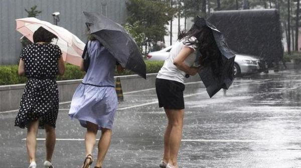 cod galben de vant puternic in zonele montane