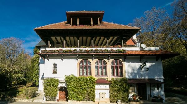 klaus iohannis ccr sesizata pentru o parte din istoria pnl