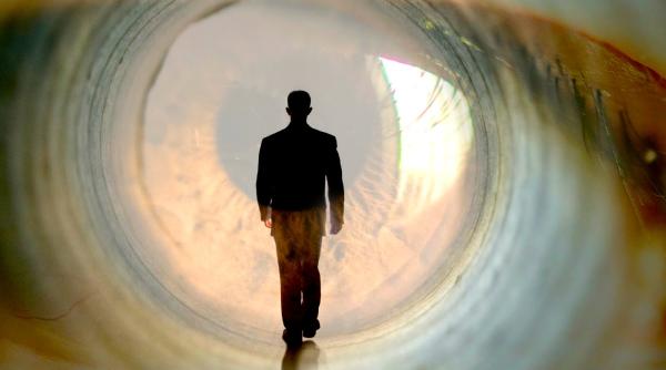 via a de apoi celebru cercetator explica ii