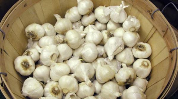 beneficiile usturoiului ce boli previne