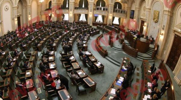 senat  propunerea prin care persoanele condamnate penal definitiv au interdictie de a candida la parlament  respinsa
