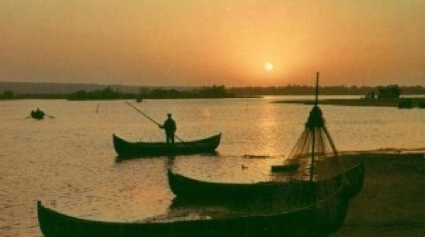 guvernatorul musetescu pescuitul sportiv in delta platesc sa merg la schi nu plec cu telefericul acasa