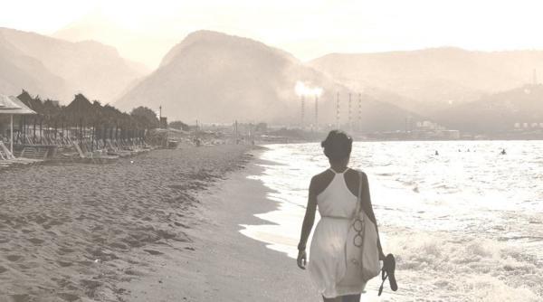 black friday 2017 vacan e de vis hai la mare