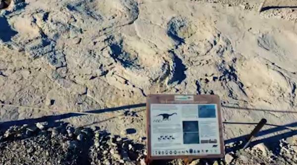 urme lungi dinozaur s a descoperit cui apar in