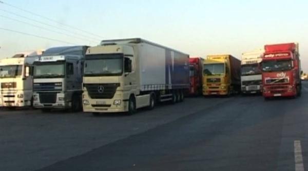 un primar din vaslui a devenit ofer de tir in germania