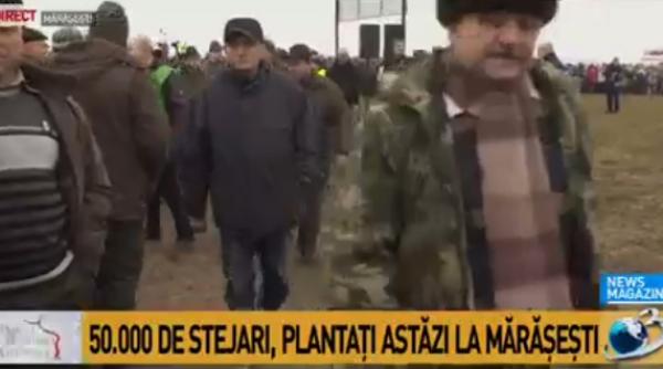 romandria stejari planta i mara e ti proiectul uria al antenei 3 prinde via a