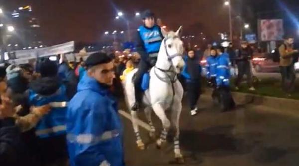 proteste piata victoriei jandarmeria despre folosirea cailor
