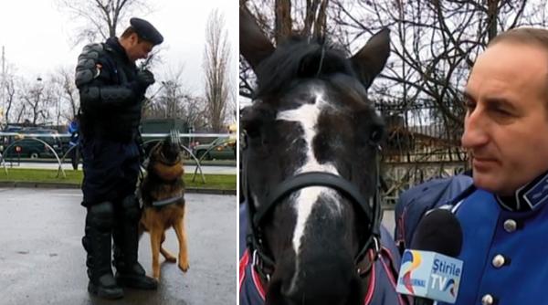 despartire emotionanta la defilare impreuna pentru ultima oara