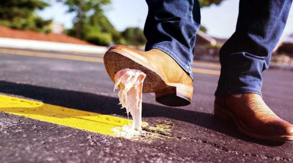 cele cinci legi ale prostiei