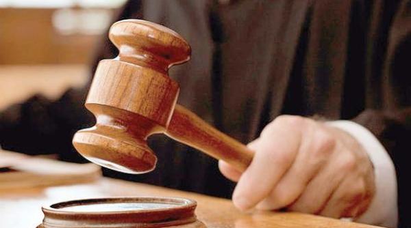 hotarari judecatoresti comisia parlamentara speciala decizie