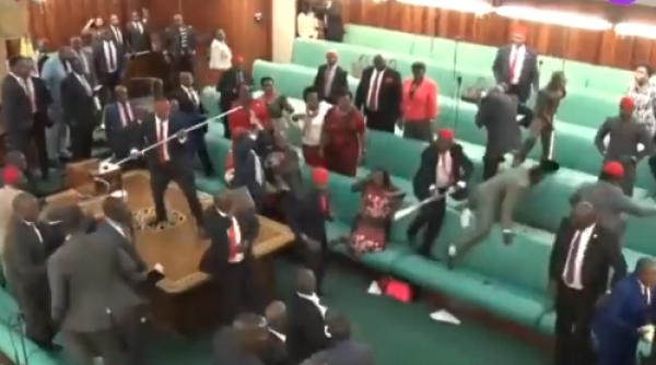 uganda bataie parlament imagini incredibile video