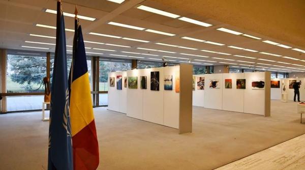 culorile diversitatii un proiect inter art desfasurat la palatul natiunilor din geneva