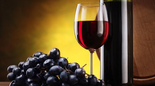 creier vin neurologul yale gordon shepherd observatie interesanta