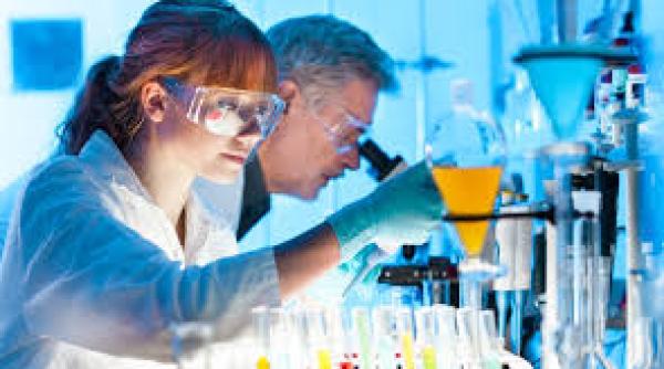 e se intampla creierului dupa moarte