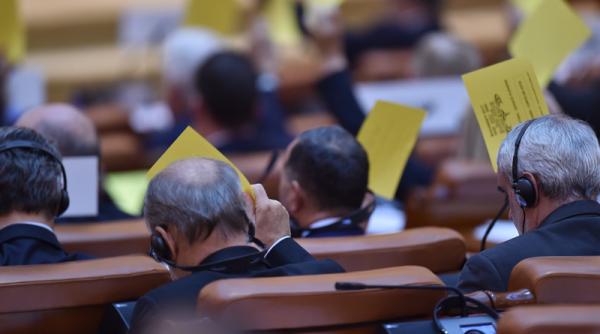 incompatibilitate anulata pe bani publici politicienii pot avea calitatea de comerciant persoana fizica