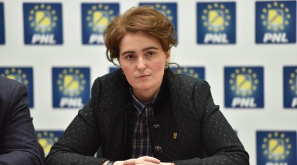 senatoarea scantei explicatii privind sesizarea ccr