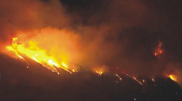 gradina zoologica londra incendiu de proportii