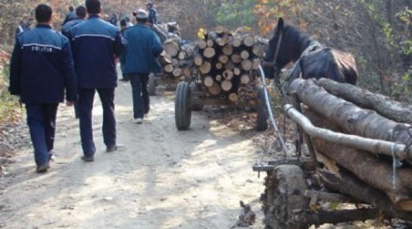 carmen avram padurile cel mai periculos loc unde am filmat