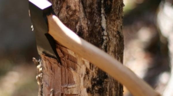 vaslui batran schinguiut cu urechile taiate pentru banii din casa