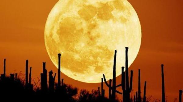 cutremure risc pe 1 ianuarie fenomen astronomic rar