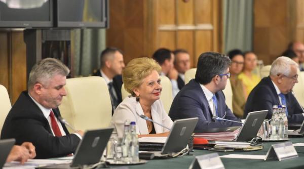 doina pana demisie din guvern bogdan chirieac semnal catre mihai tudose nu ne amintim nimic