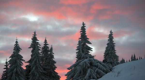 anm boboteaza vreme calda temperaturi de 16 grade celsius