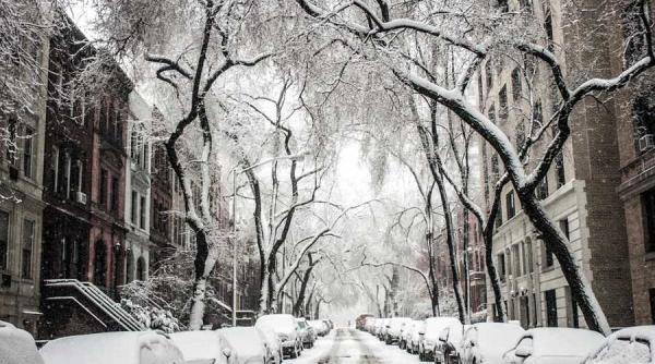 iarna grea in sua florida prima ninsoare