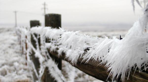 vremea de boboteaza ce spun meteorologii despre temperaturile pozitive