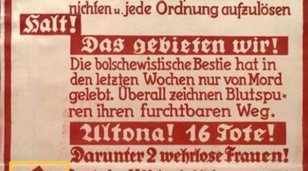 liviu ple oianu catre protestatari strigi ciuma ro ie e ti nepo eii lui goebbels