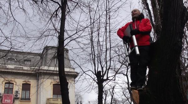 dide protest inedit la psd dupa ce crengile copacilor au fost taiate