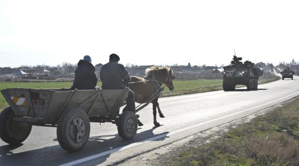 dosar penal pentru cei care au schingiuit caii in galati