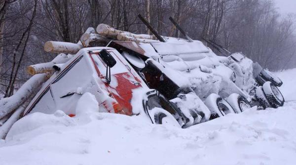 patru decese din cauza viscolului si gerului in sudul statelor unite