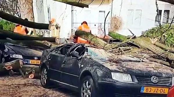 furtuna friederike noua morti in nordul europei si haos in transporturi