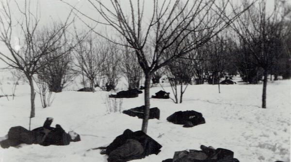 pogromul de la bucuresti i masacrul de la jilava comemorate in padurea jilava