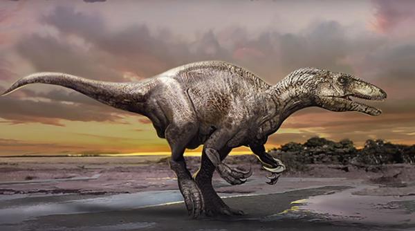 coada dinozaur scoasa la licita ie ar putea fi un fals