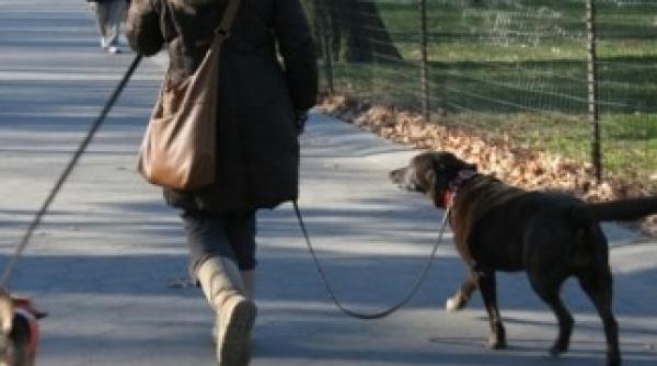 liviu harbuz rase de caini la moda i rase disparute gre eala pe care o fac proprietarii