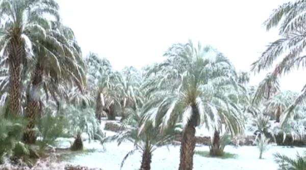 maroc zapada in de ert dupa 60 de ani fenomen extrem de rar