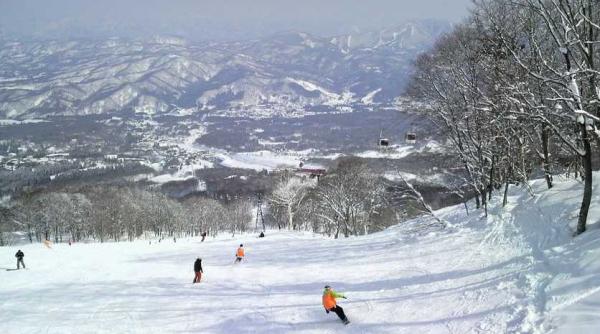 miss bikini sibiu cea mai frumoasa schioare surf in tenerife