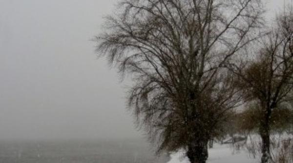 fluviul dunarea debit peste media multianuala a lunii februarie