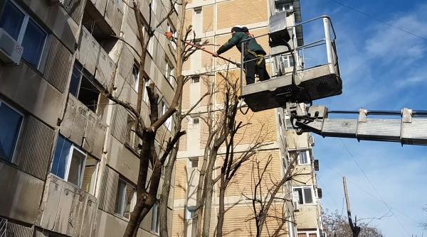 autoturismele parcate obstacole in opera iunea de toaletare a copacilor