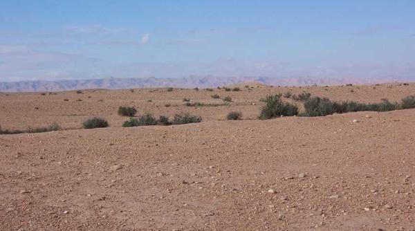 africa de sud stare de catastrofa naturala seceta istorica