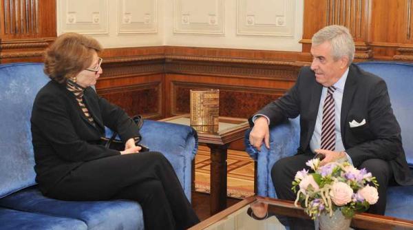 tariceanu rauscher ambasadorul austriei discutii la senat