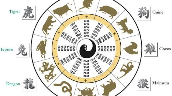 anul nou chinezesc anul cainelui schimbari radicale