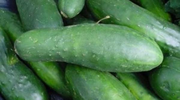 apa cu castrave i de ce e bine sa bei zilnic