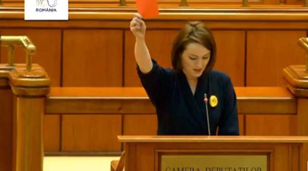 olguta vasilescu cartonas rosu si brevet pentru salariul negativ de la pnl