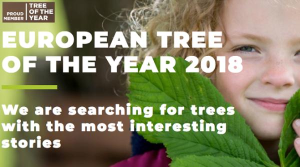 tree of the year 2018 facultatea de geografie a universita ii din bucure ti inscrie romania in competi ie