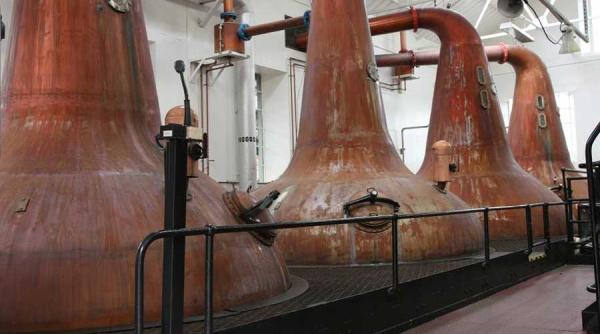 turism oenologic franta alambicurile din cognac