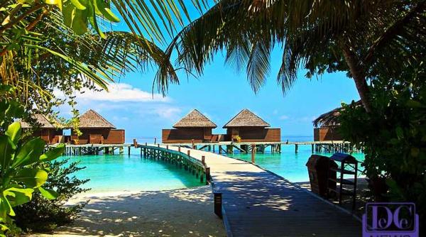 targul de turism al romaniei 22 25 februarie informa ii complete