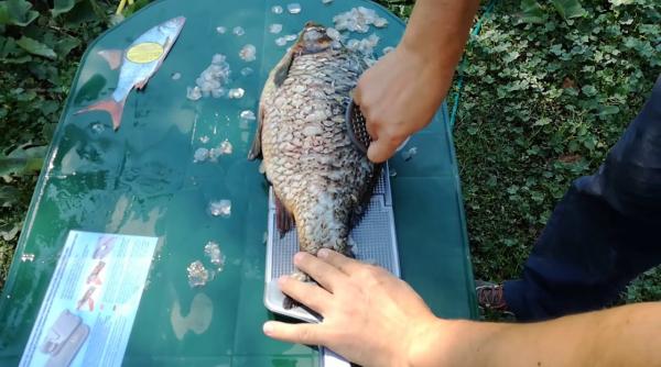 bancul zilei ion i maria discu ii dupa o partida de pescuit