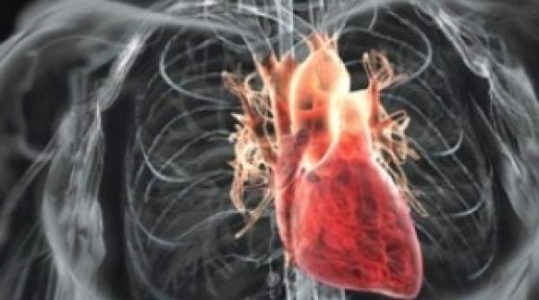 boli cardiovasculare dietele care scad riscurile